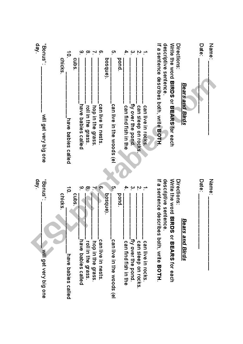 Comparing Birds and Bears worksheet