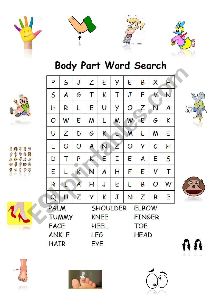 Body Part WordSearch worksheet