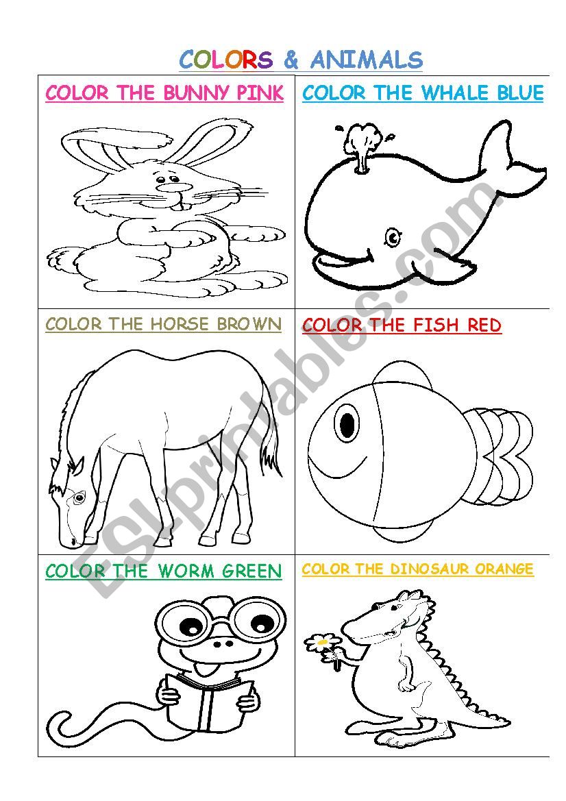 Colors & Animals worksheet