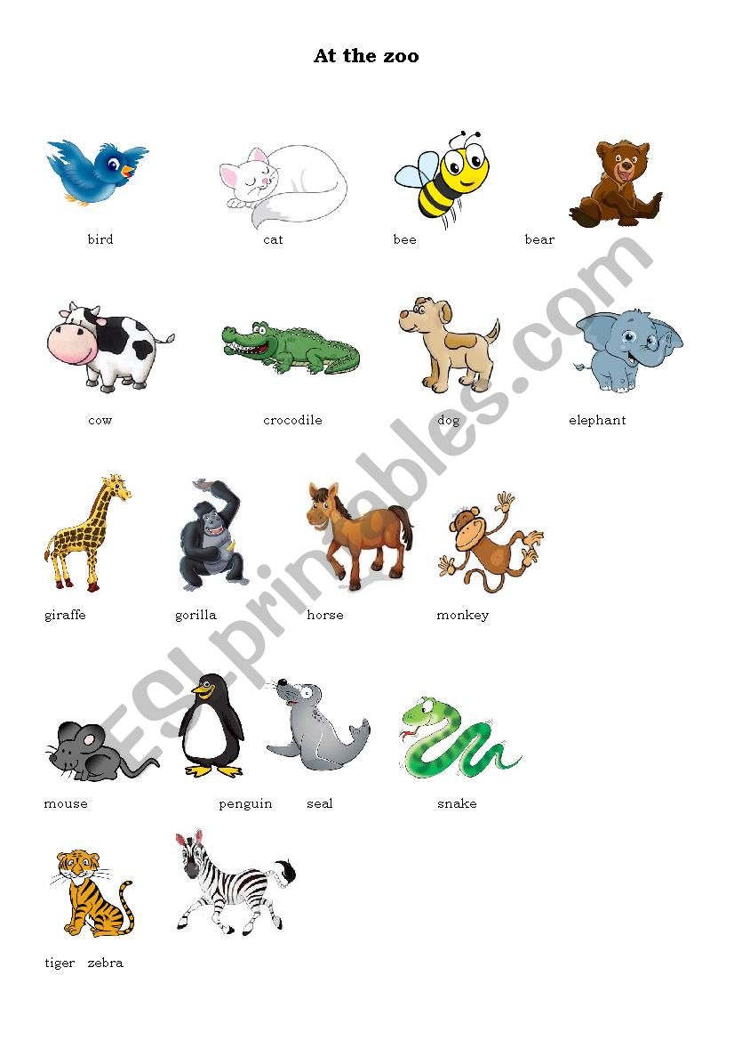 Animals names worksheet