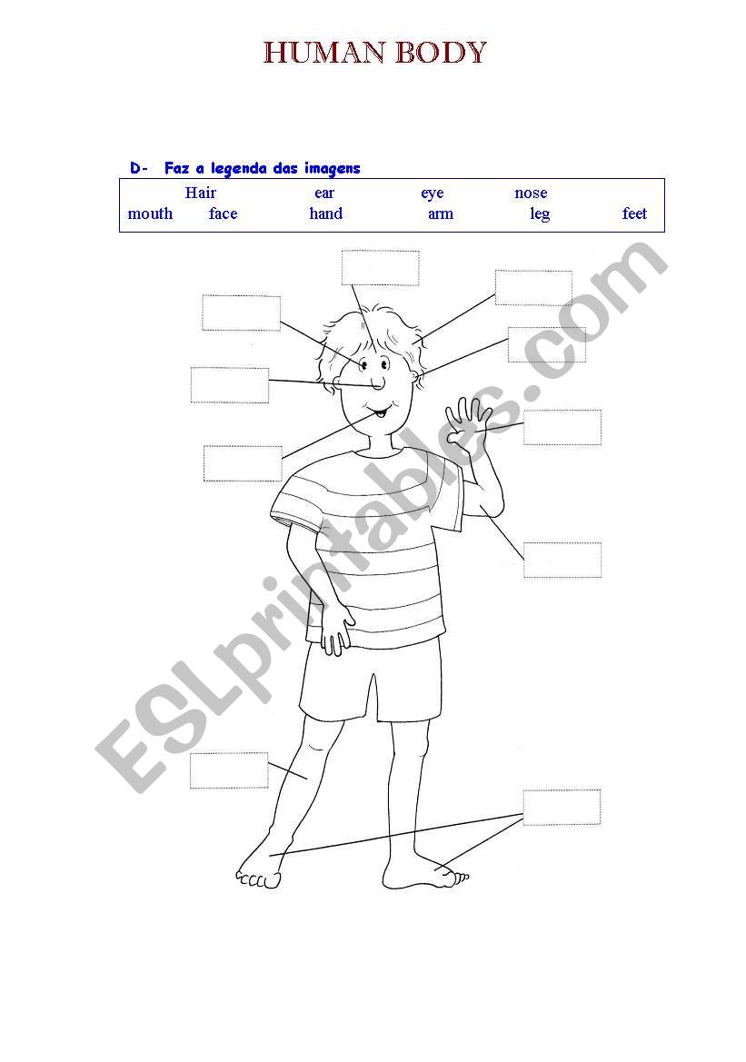 Parts of the human body worksheet