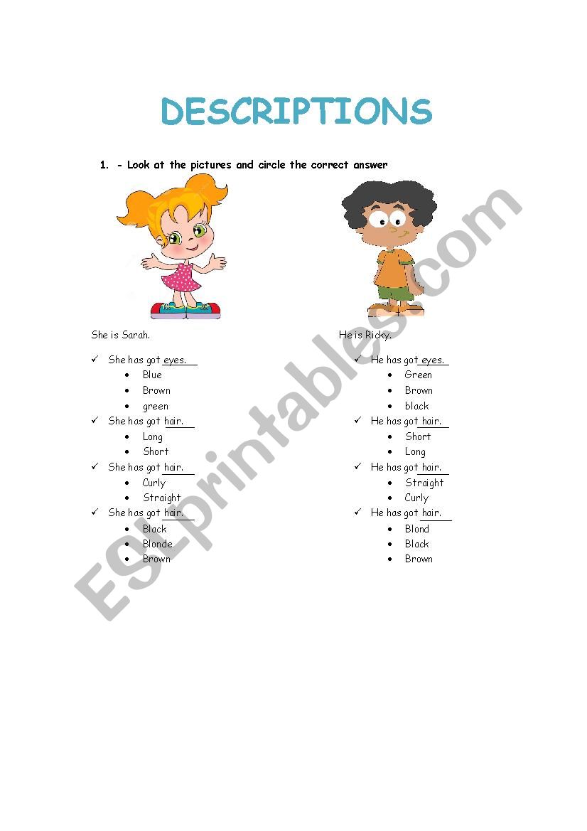 Physical descriptions worksheet