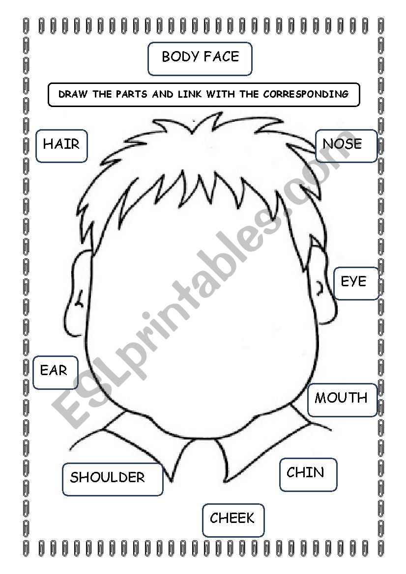 FACE PARTS worksheet