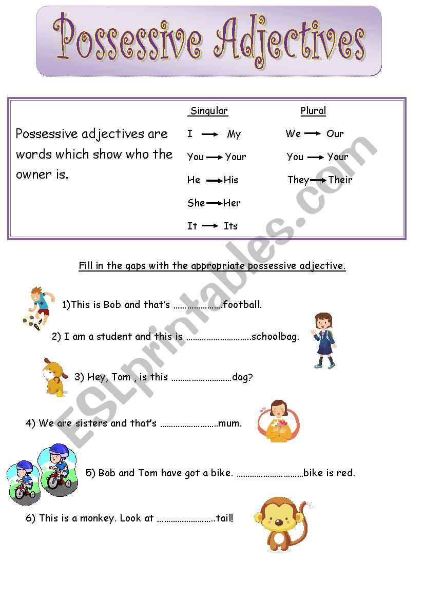 Possessive adjective worksheet