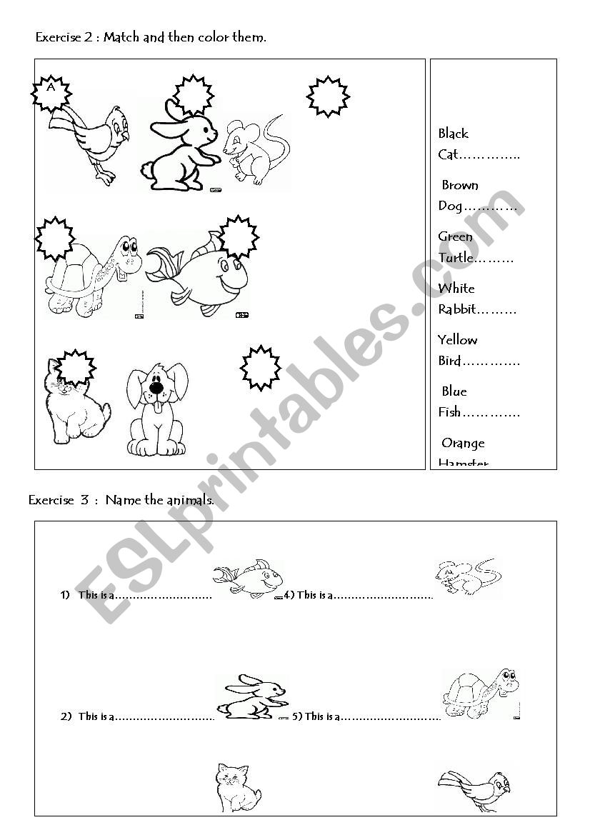 animals worksheet