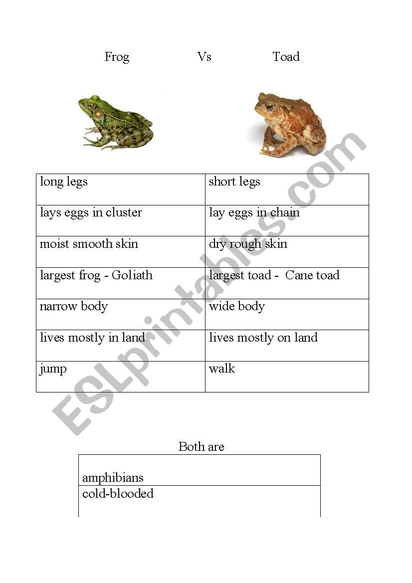 Frog vs Toad worksheet