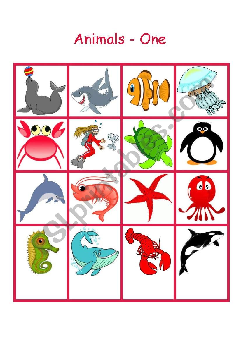 Sea Life Bingo worksheet