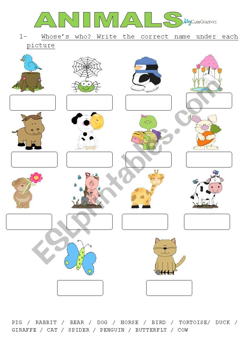 ANIMALS worksheet