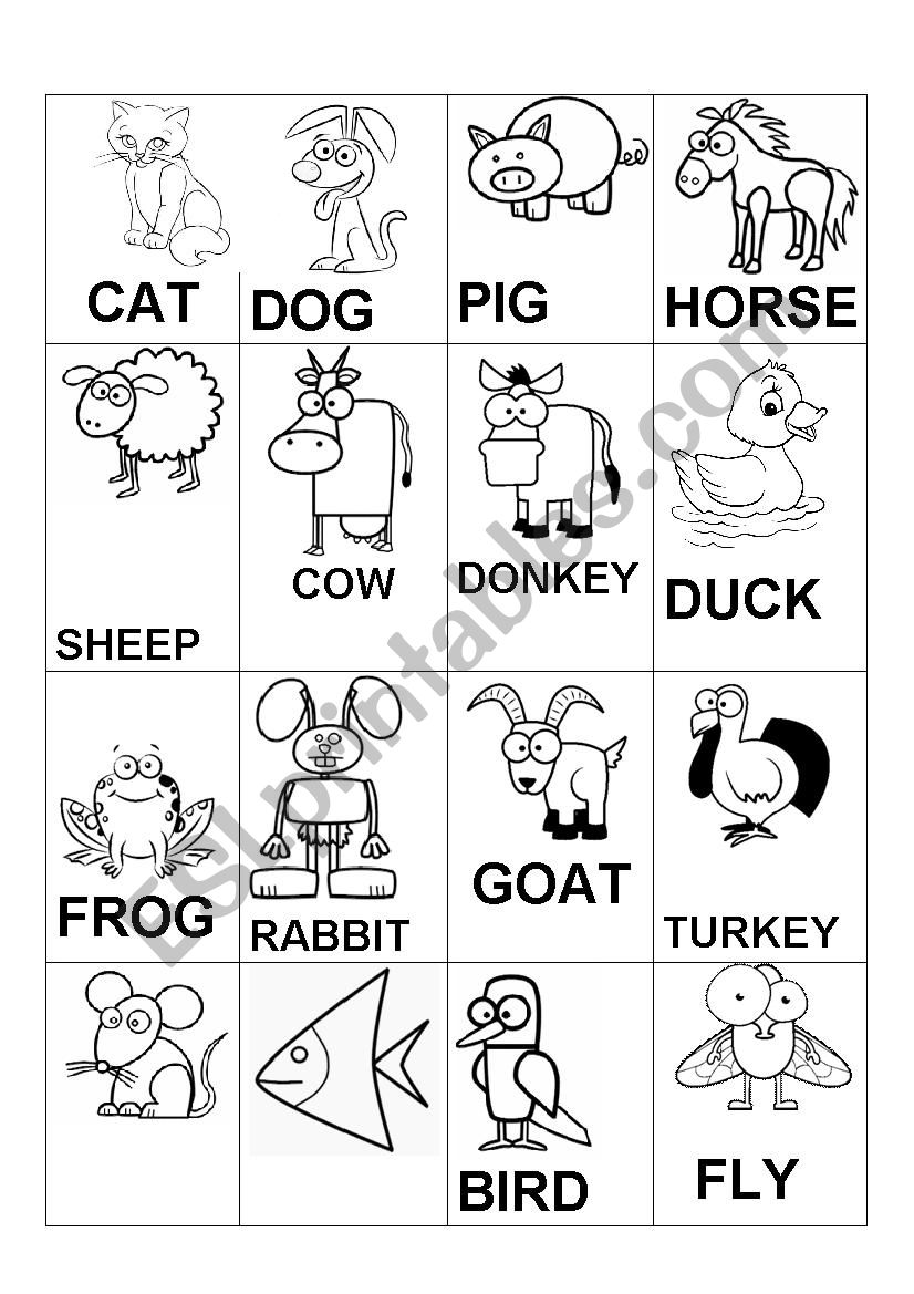 Animals worksheet