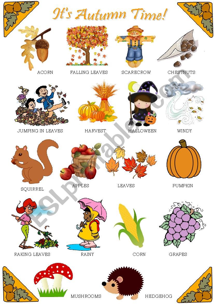 Autumn - Pictionary worksheet