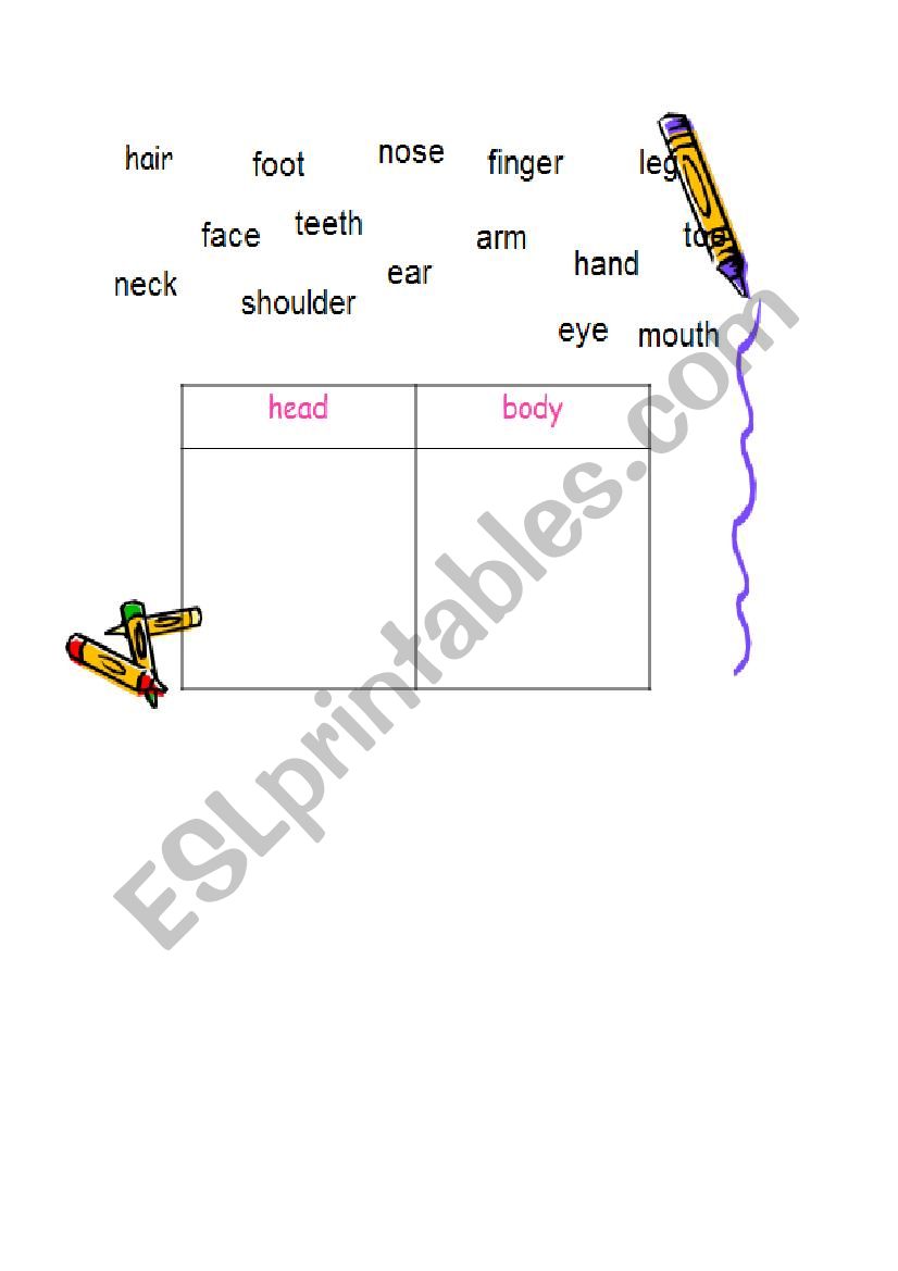 Body parts worksheet