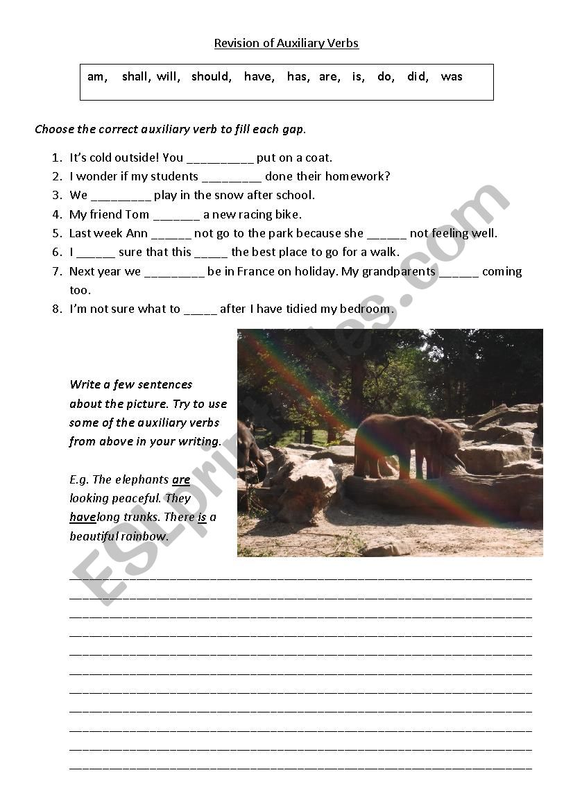Revision of Auxiliary Verbs  worksheet