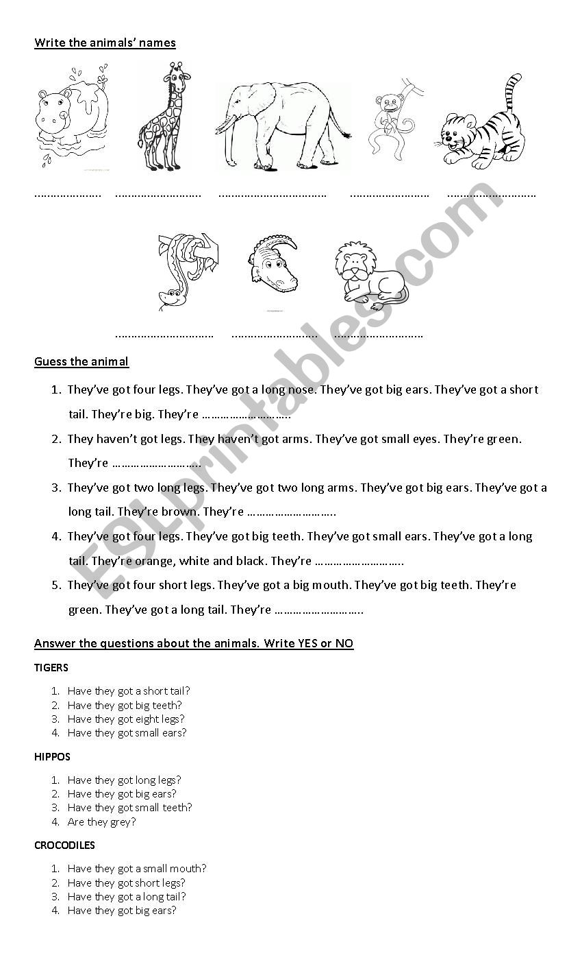 Wild Animals worksheet