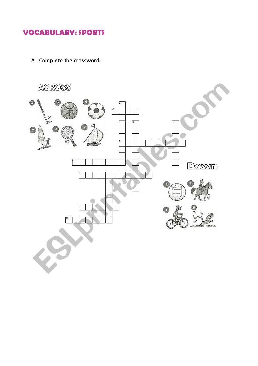 Sports worksheet