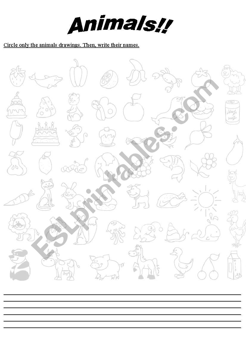 Animals worksheet