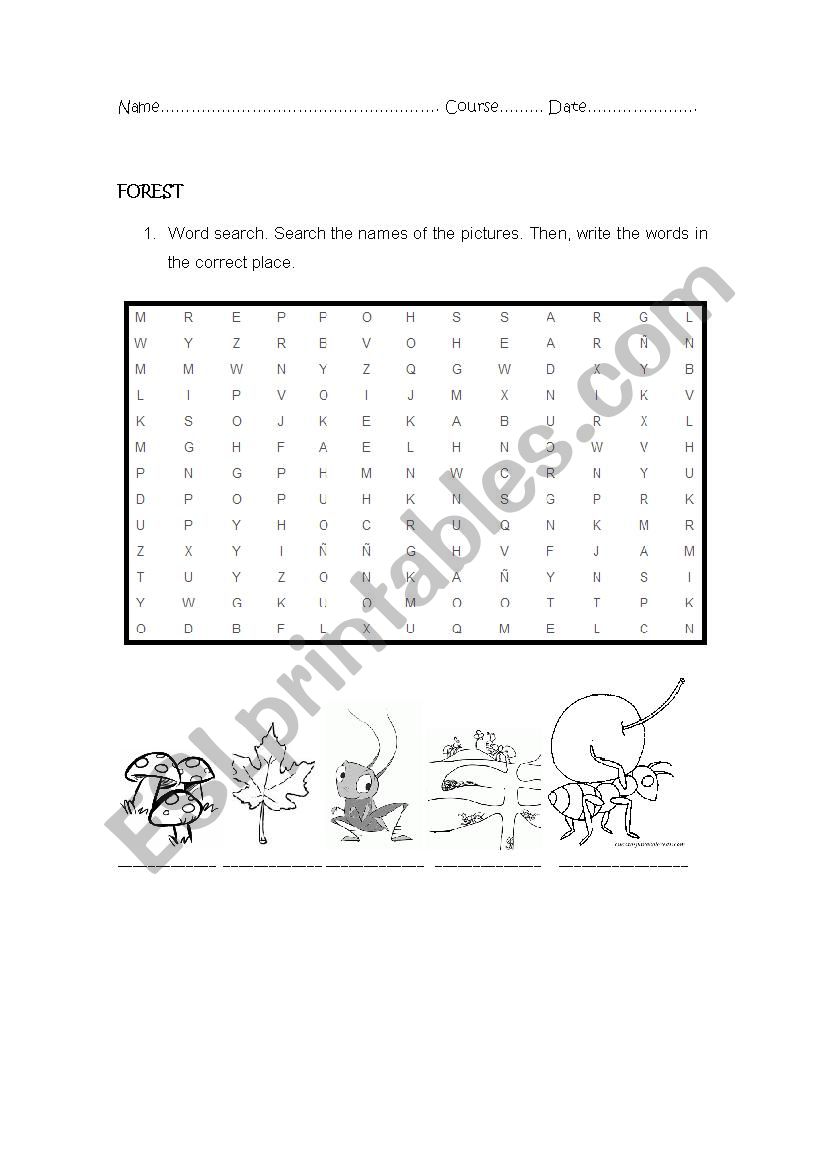 Forest worksheet