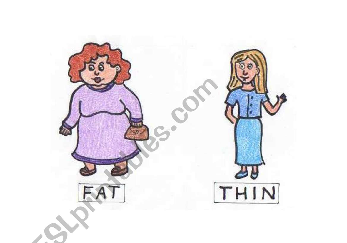 Opposites Fat - thin flashcard