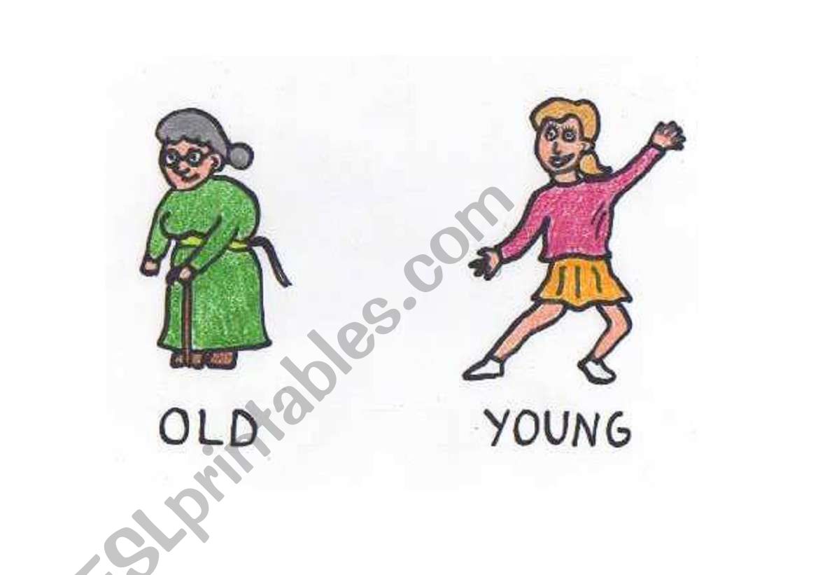 Opposites: Old - young flashcard
