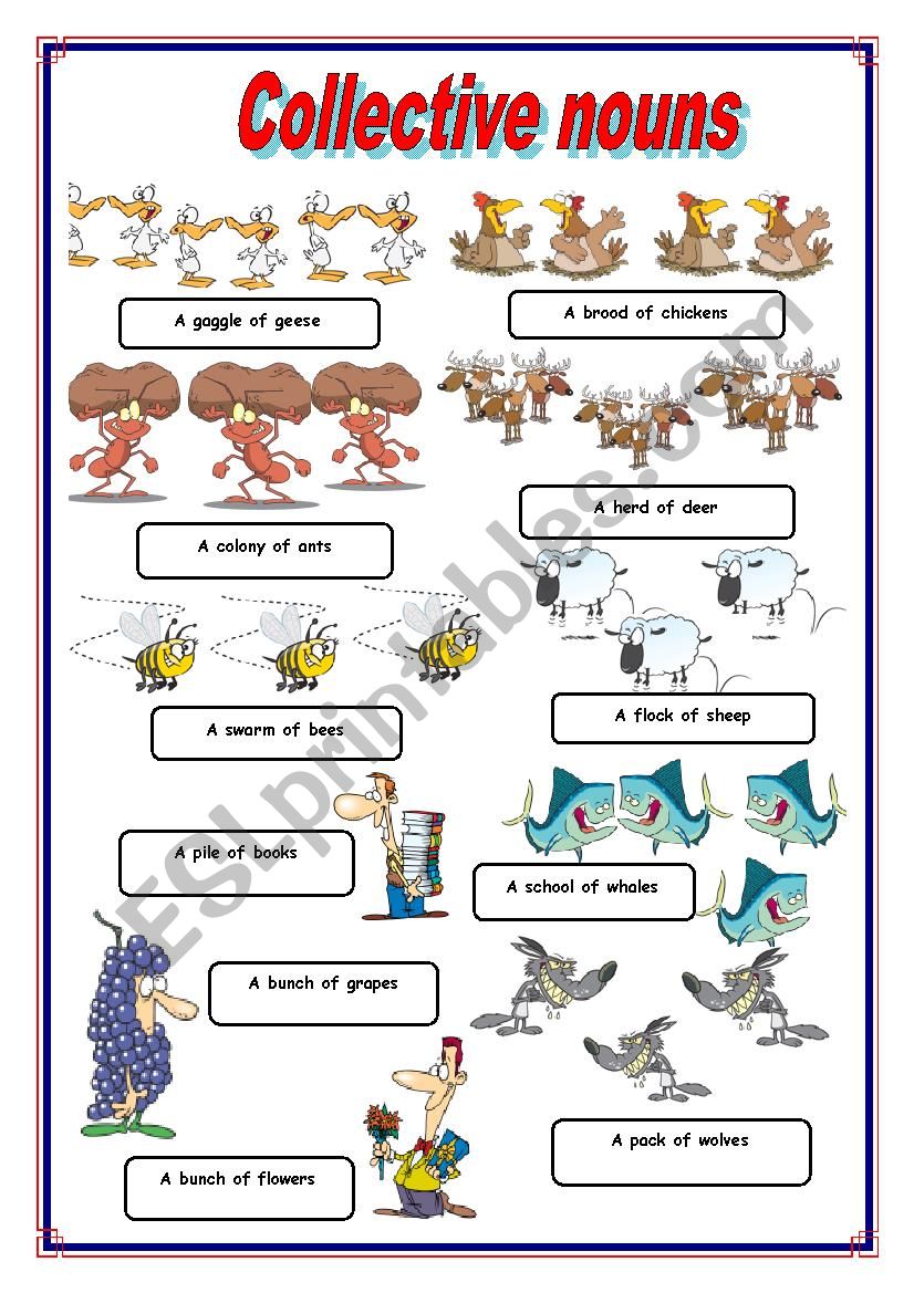 Worksheet Collective Nouns Grade 3