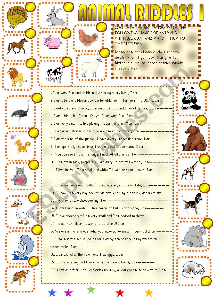 Animal riddles1 worksheet