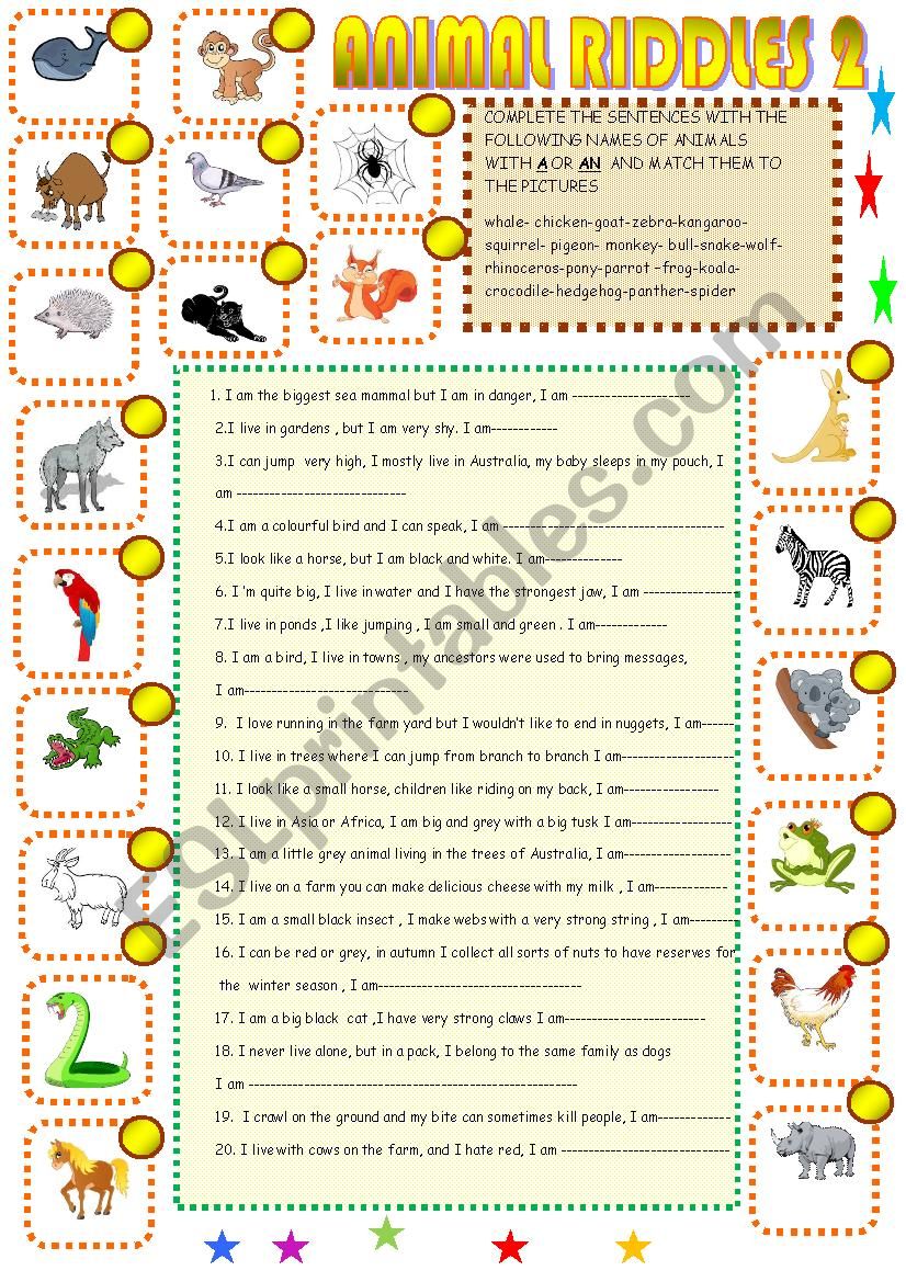 Animal riddles2 worksheet
