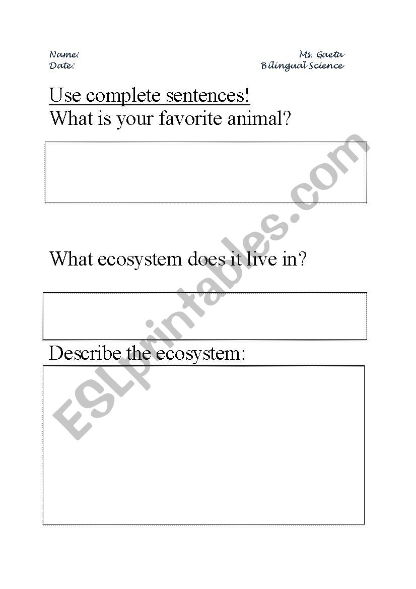 Animal Investigation worksheet