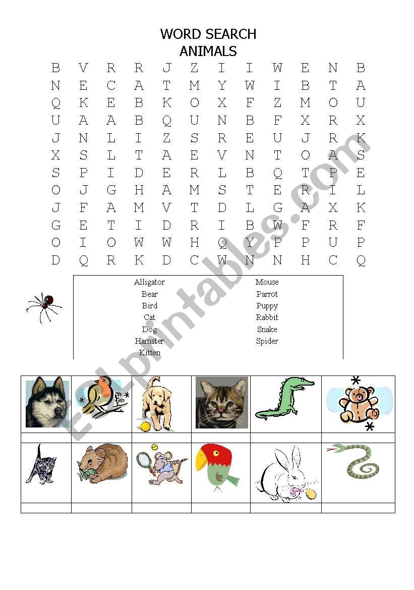 Animals  worksheet