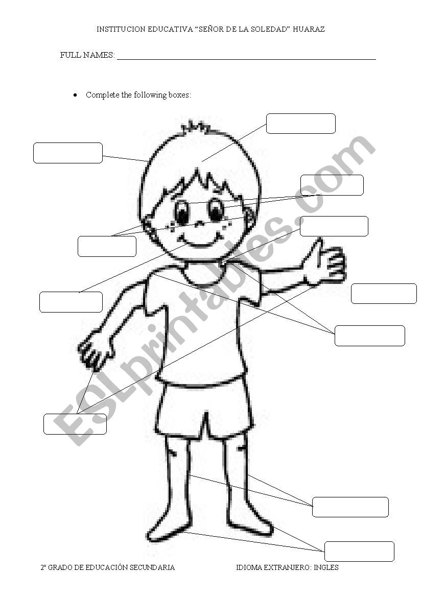 Body  worksheet
