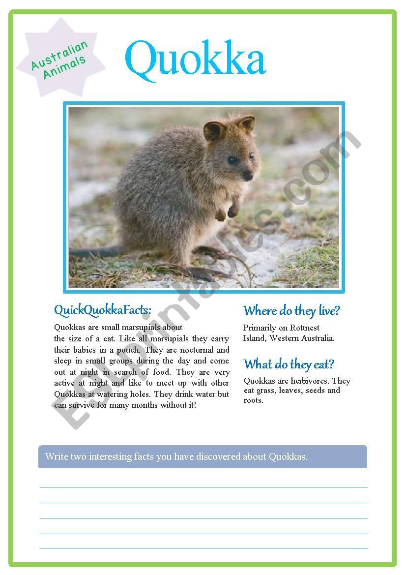 Quokkas worksheet