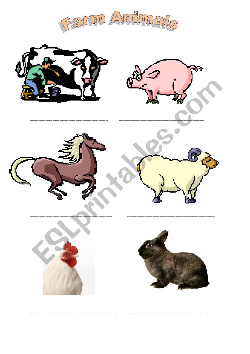 Farm animals worksheet