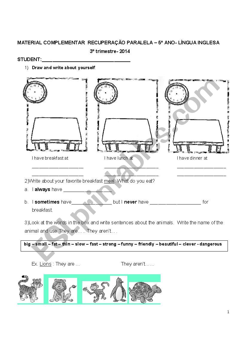 Worksheet review worksheet