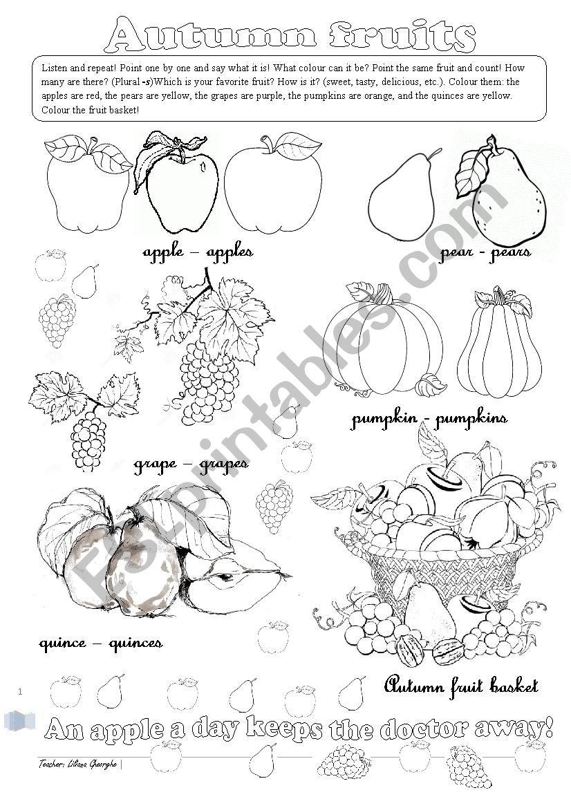 Autumn fruits worksheet