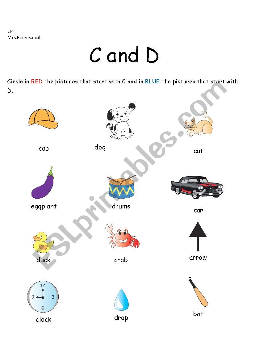 C and D worksheet