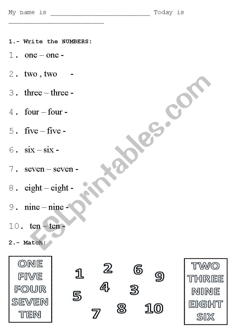Numbers and colours worksheet worksheet
