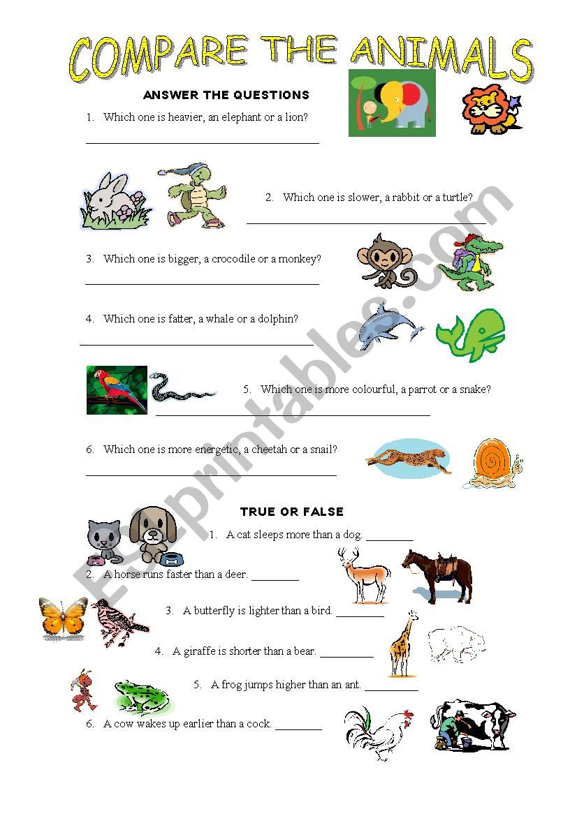 Compare the animals worksheet