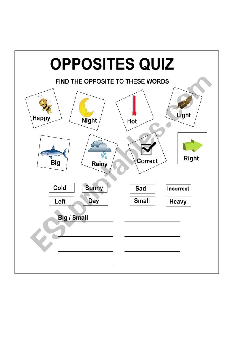 Opposites Quiz worksheet