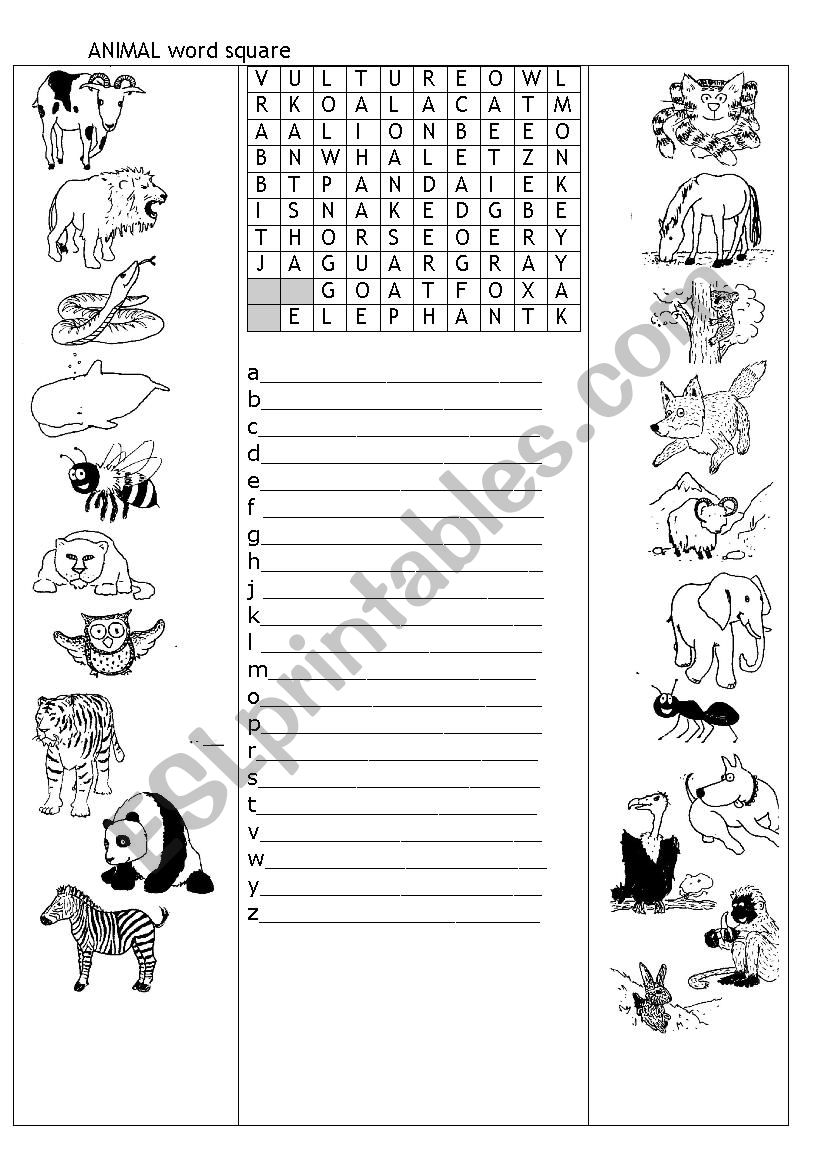 ANIMAL SQUARE worksheet