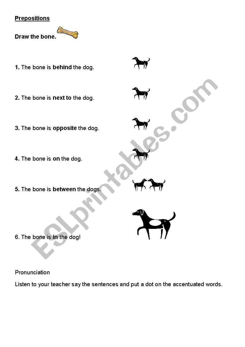 Where is the bone? worksheet