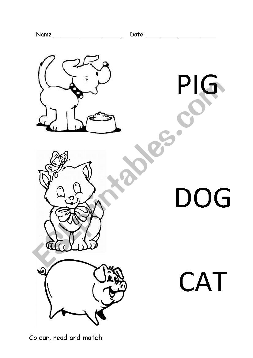 animals read and match worksheet