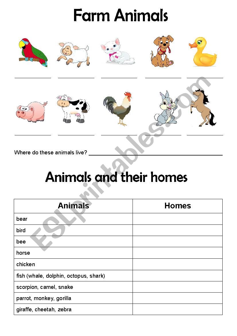 Animals and homes worksheet