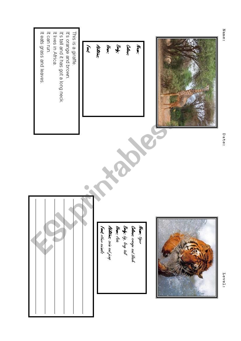 animal description worksheet