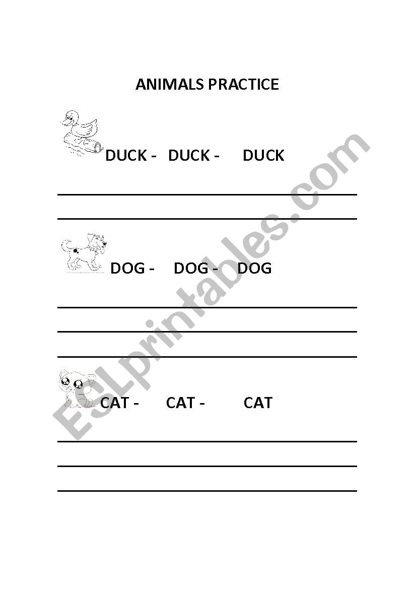 Animals Practice worksheet