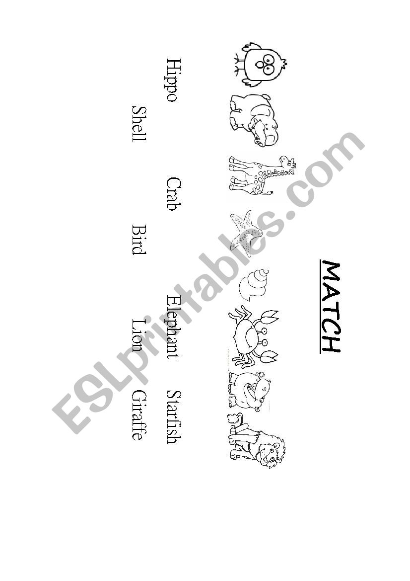 Match the Animals! worksheet