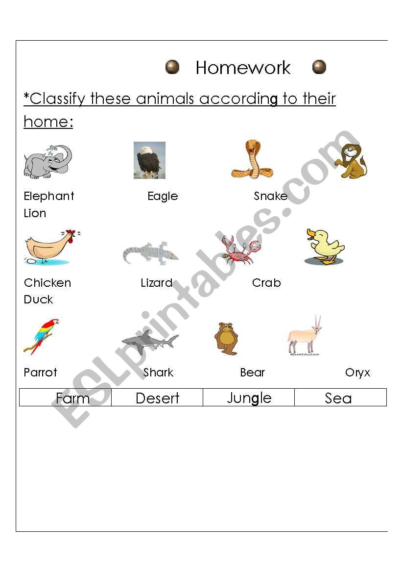 animals worksheet