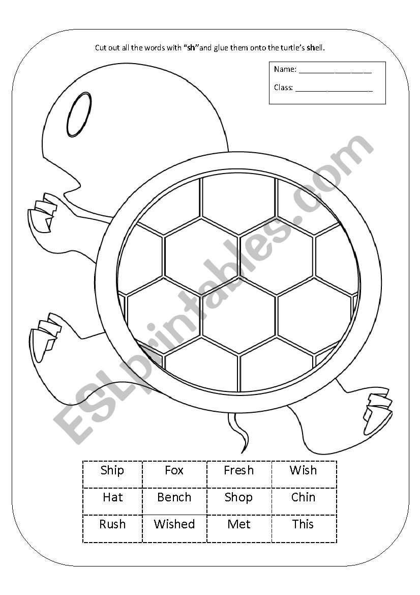 sh words phonics cut out  worksheet