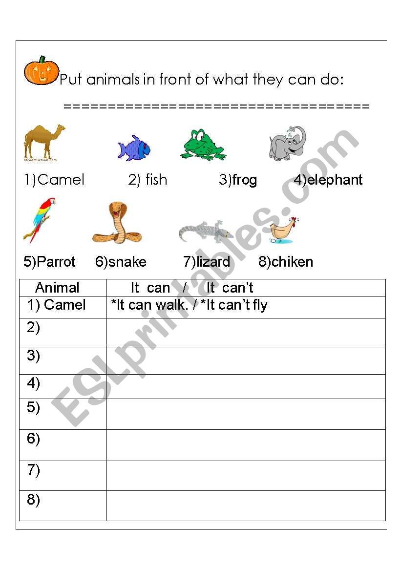 animals worksheet