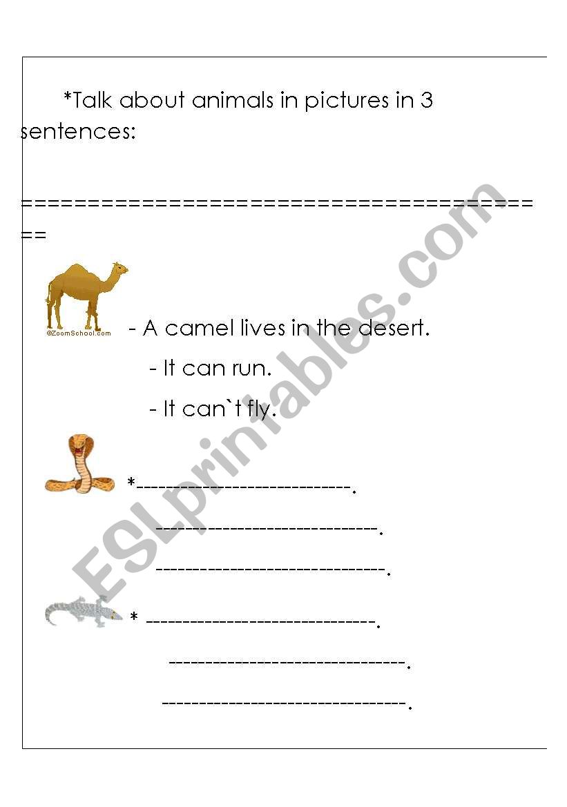 animals worksheet