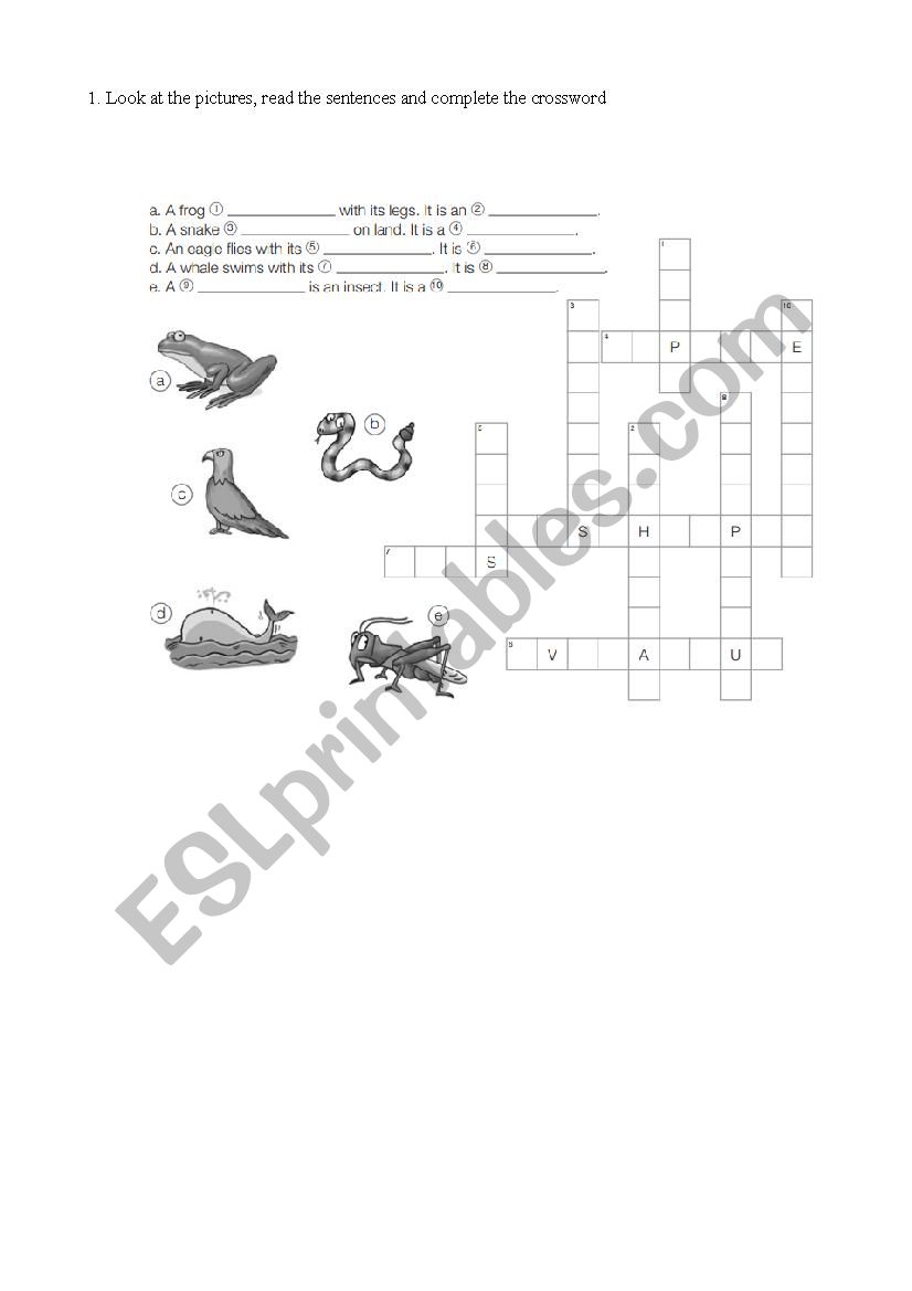 Vertebrates crossword worksheet