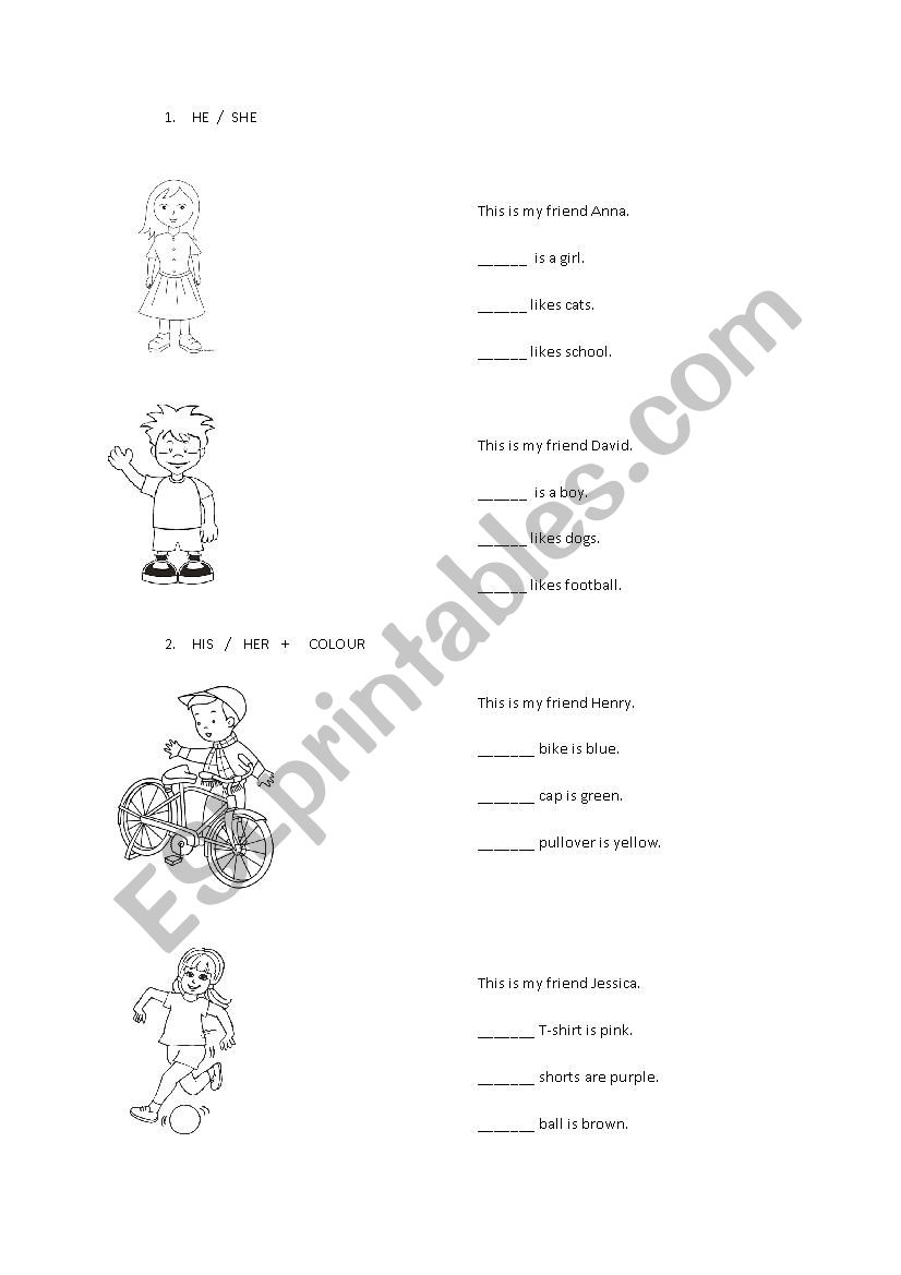 2nd grade exercise worksheet