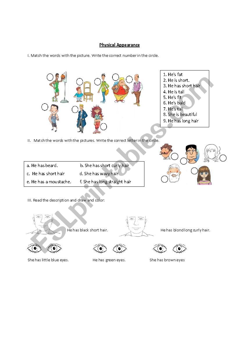 Physical Description worksheet